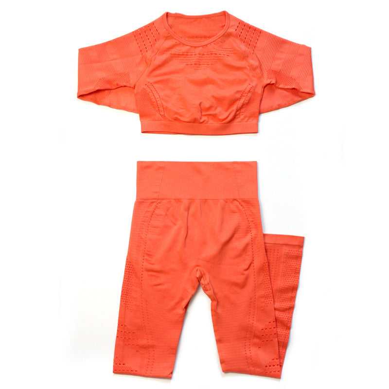 Seamless Yoga Gym Suit Active Wear
