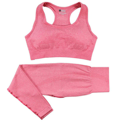 Two Piece Seamless Workout Set Active Wear