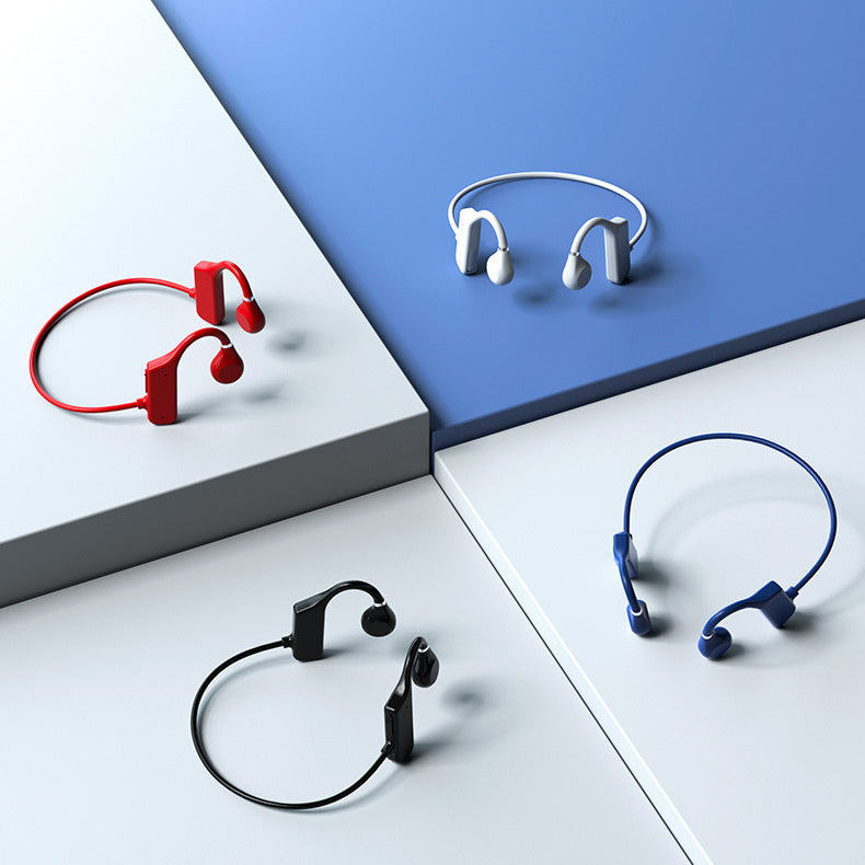 Earphones