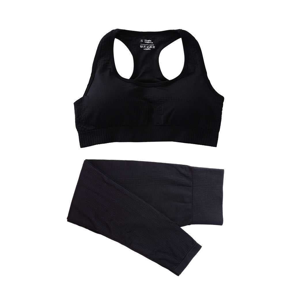 Two Piece Seamless Workout Set Active Wear