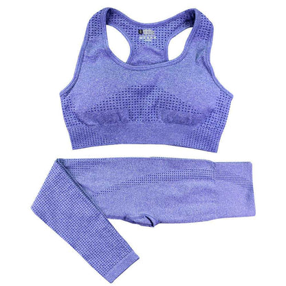 Two Piece Seamless Workout Set Active Wear