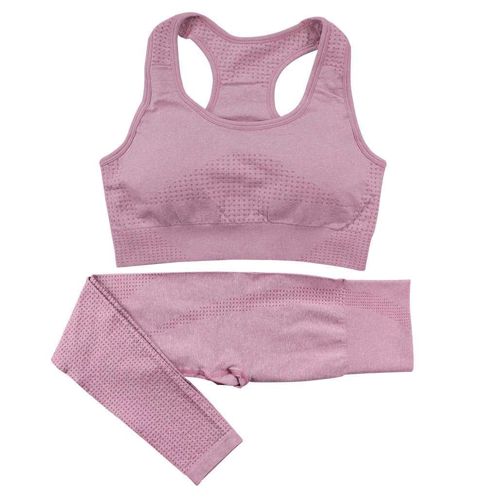Two Piece Seamless Workout Set Active Wear